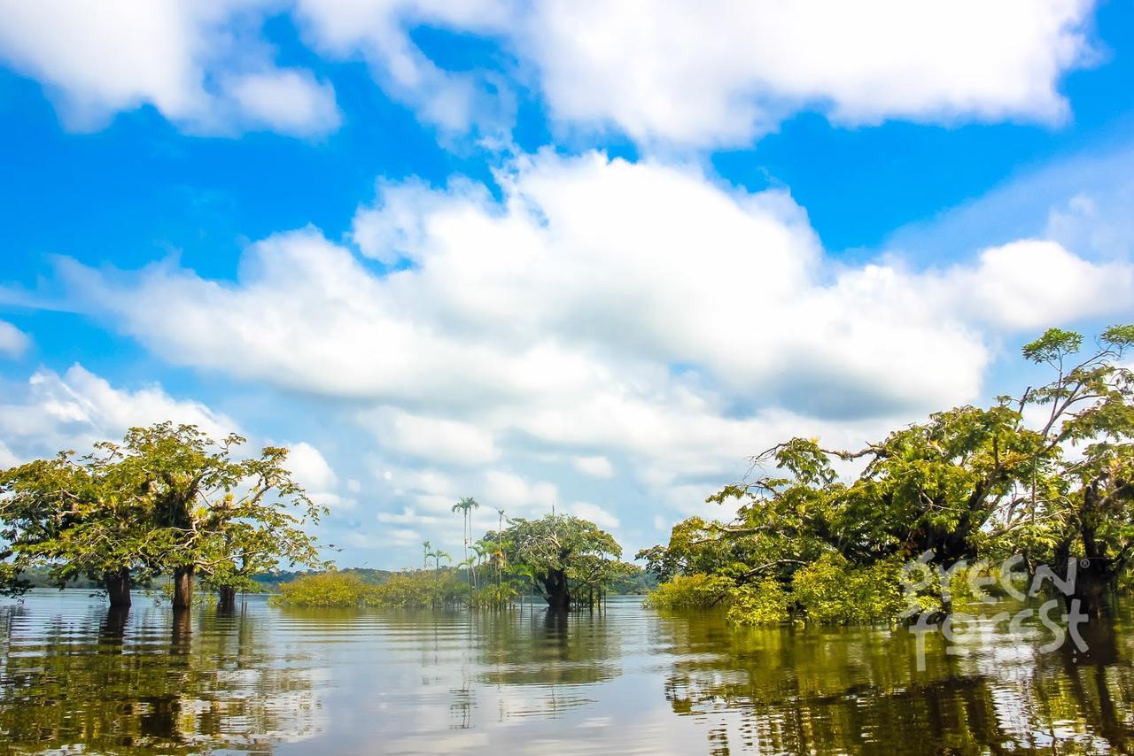 Green Forest Ecolodge Puerto Montufar エクステリア 写真