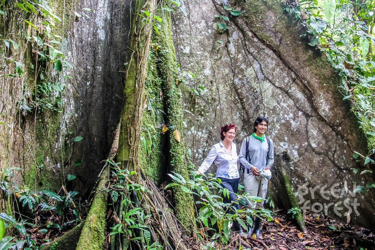 Green Forest Ecolodge Puerto Montufar エクステリア 写真