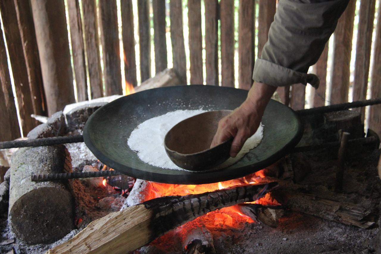 Green Forest Ecolodge Puerto Montufar エクステリア 写真