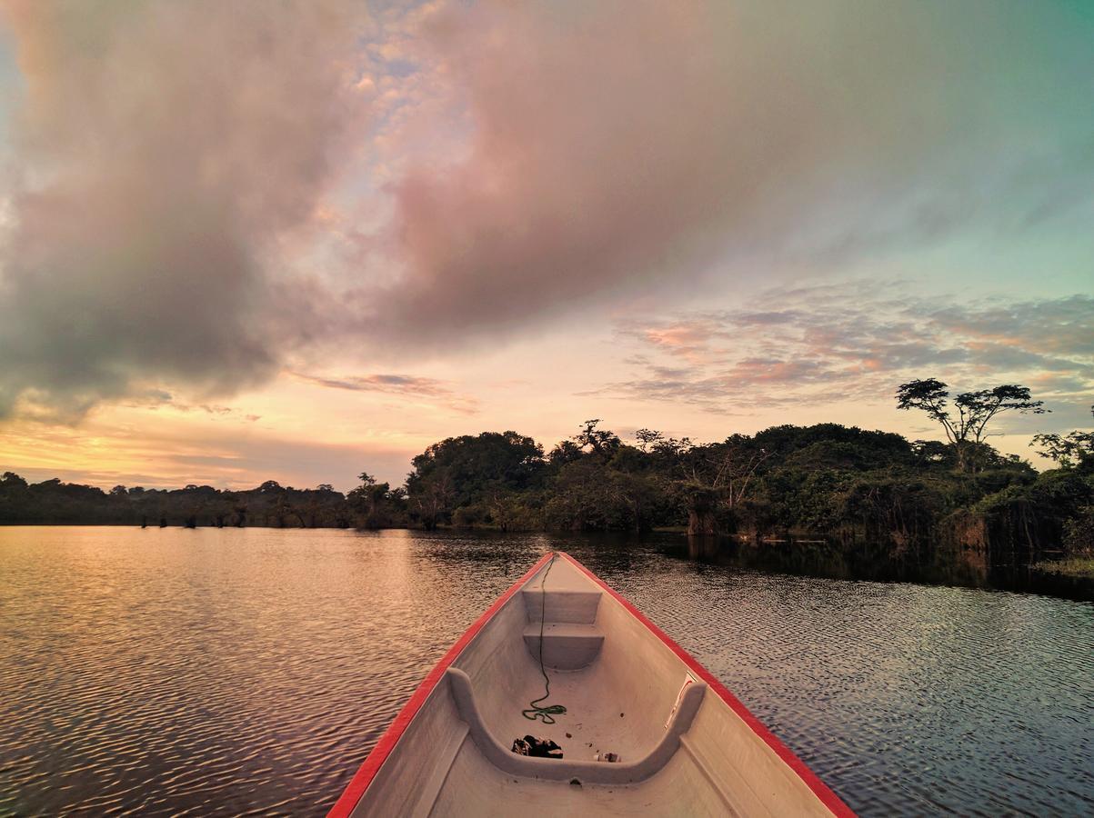 Green Forest Ecolodge Puerto Montufar エクステリア 写真